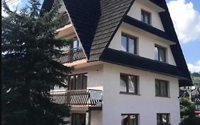 U Ani